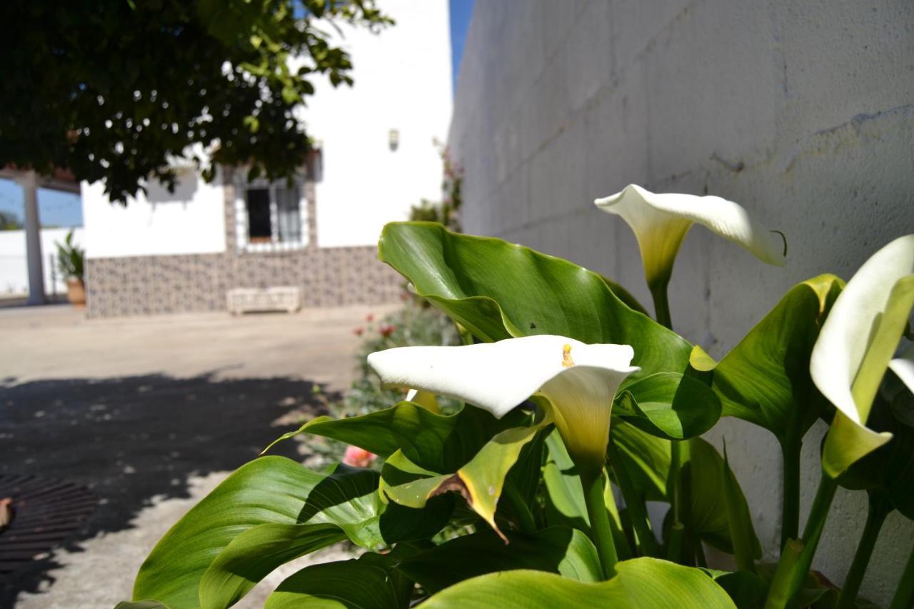 La Orquidea De Cordoba Villa Buitenkant foto